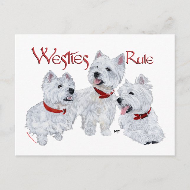 Westies Rule! Postcard (Front)