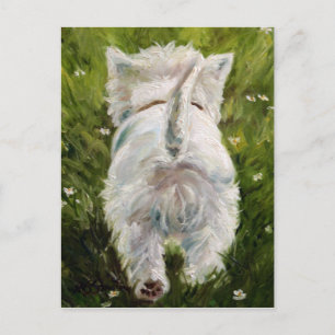 Westin West Highland Terrier Post Card