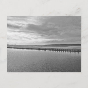 Weston-super-Mare black and white Postcard