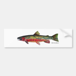 Westslope Cutthroat Trout; Bumper Sticker