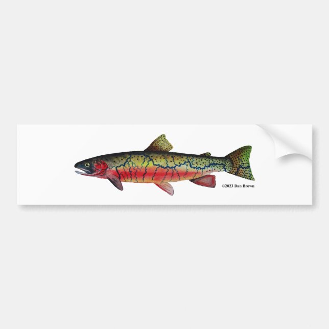 Westslope Cutthroat Trout; Bumper Sticker (Front)