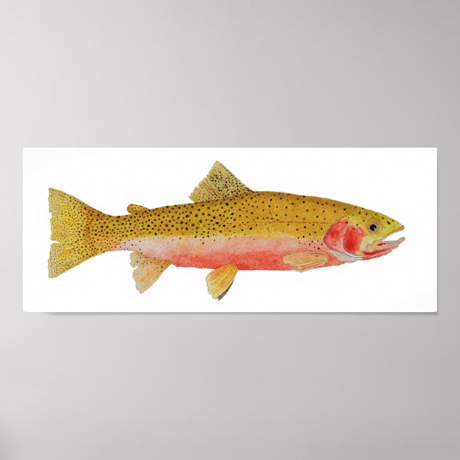 Westslope Cutthroat Trout Watercolor Poster (Front)