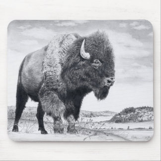 Westward Stance Mouse Mat