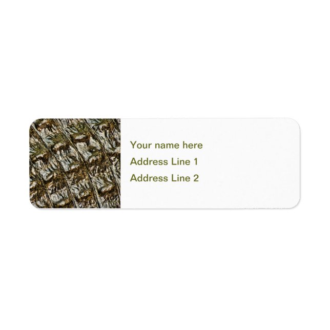 Wet Alligator Back Abstract Photograph (Front)