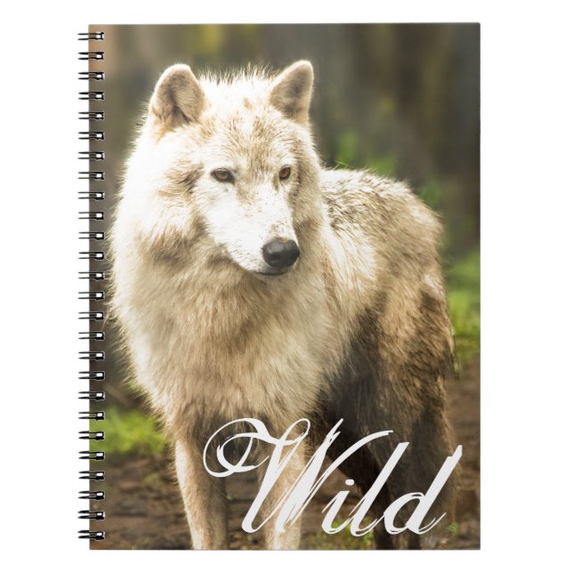 Wet Arctic Wolf in Spring Photo Notebook (Front)