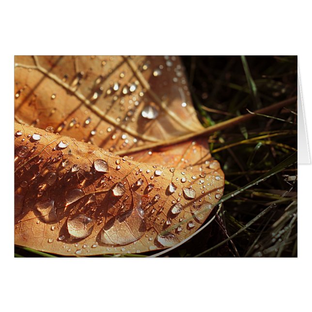 Wet Autumn Leaf - Card (Front Horizontal)