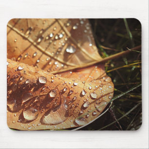 Wet Autumn Leaf - Mousepad