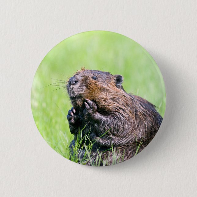 Wet Beaver 6 Cm Round Badge (Front)
