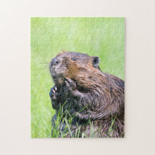 Wet Beaver Jigsaw Puzzle