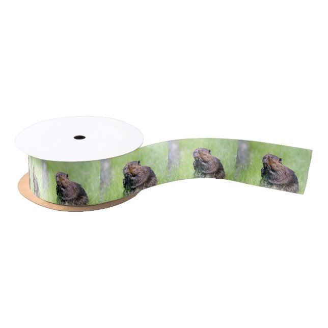 Wet Beaver Satin Ribbon (Spool)