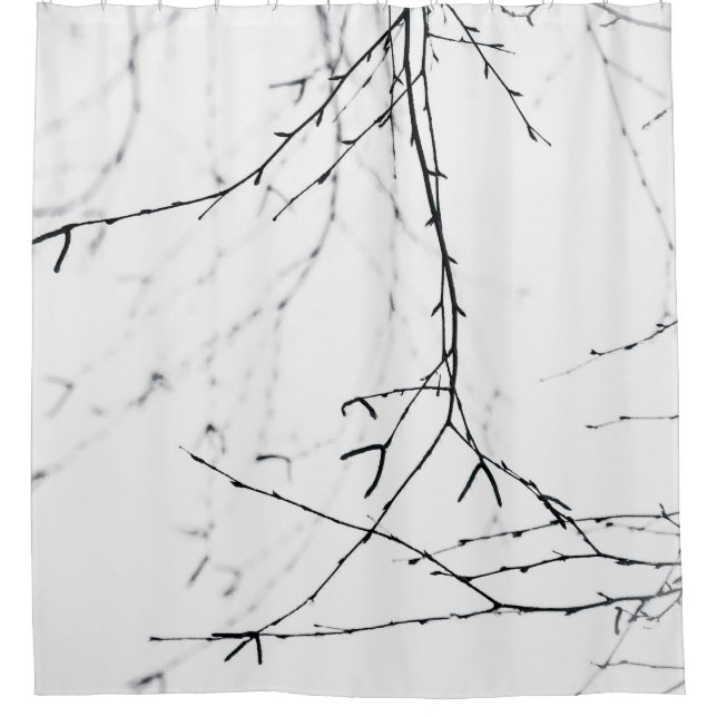 Wet Birch Tree Twigs Shower Curtain (Front)