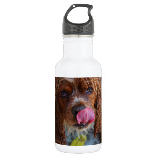 Wet Dog with a Banana 532 Ml Water Bottle