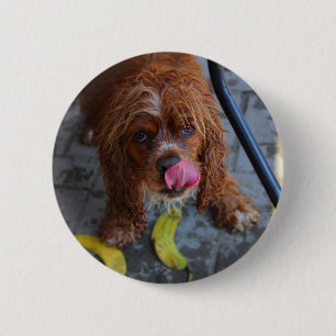 Wet Dog with a Banana 6 Cm Round Badge