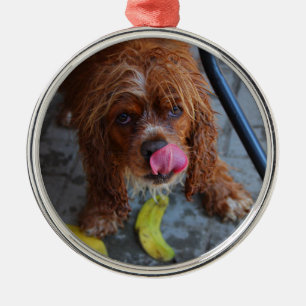 Wet Dog with a Banana Metal Tree Decoration
