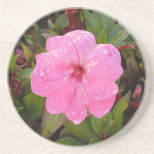 Wet Flower coaster
