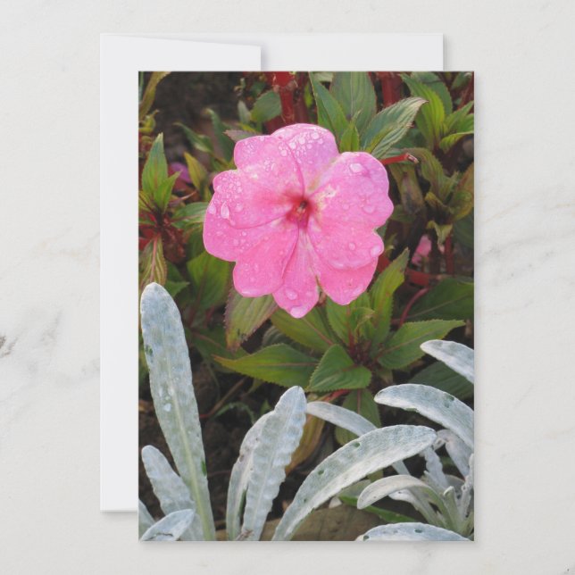 Wet Flower invitation, customise Invitation (Front)