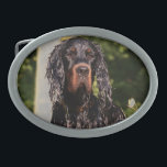 Wet Gordon Setter Belt Buckle<br><div class="desc">Wet Gordon Setter Belt Buckle</div>