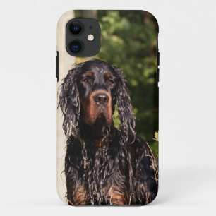 Wet Gordon Setter iPhone 5 Case