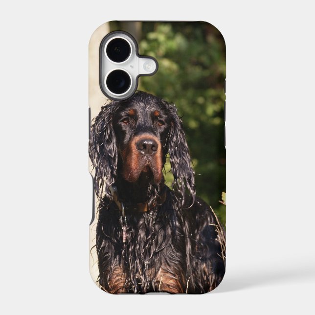Wet Gordon Setter iPhone 5 Case (Back)