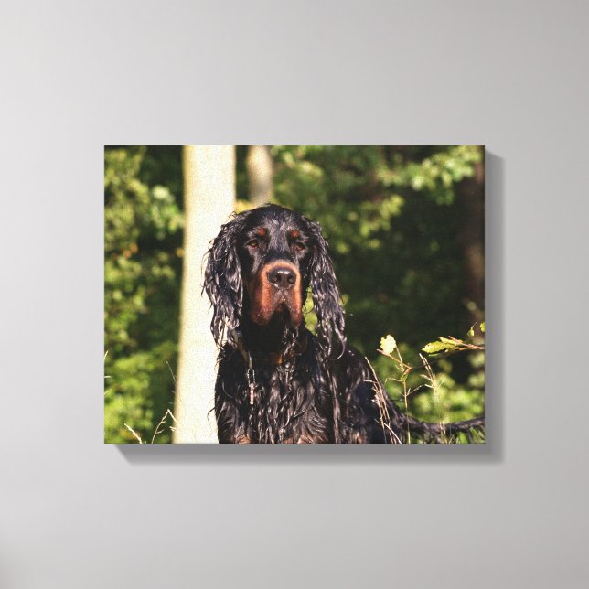 Wet Gordon Setter Wrapped Canvas (Front)