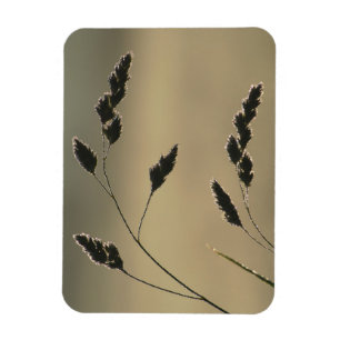 Wet grass ear magnet
