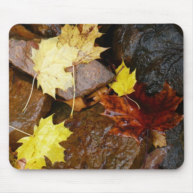 Wet Leaves and Rocks Autumn Nature Photography Mouse Mat (Front)
