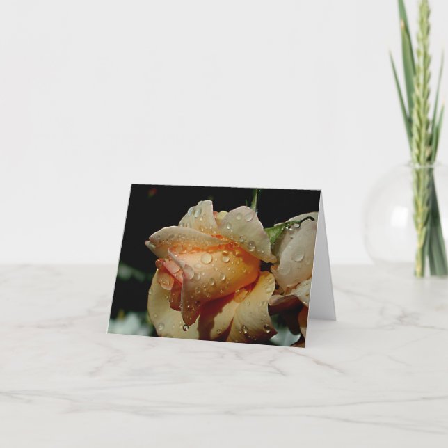 Wet Orange Rose Card (Front)