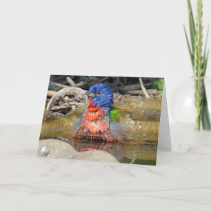 Wet Paint Card