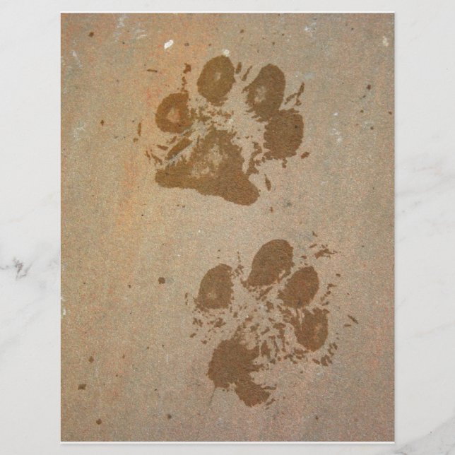 Wet Paw Prints (Front)