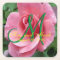 Wet Pink Rose Monogram