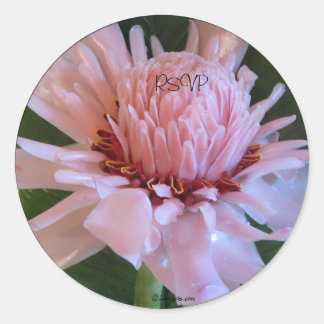 Wet Pink Torch Ginger Wedding Envelope Seals