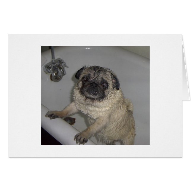 wet pooter, blank card (Front Horizontal)