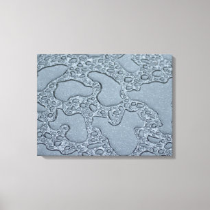 Wet Puddles of Rain (Raindrops) Canvas Print