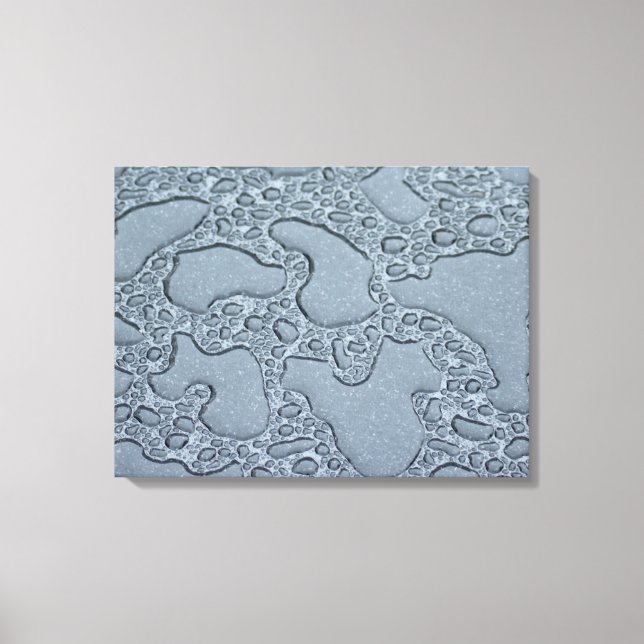 Wet Puddles of Rain (Raindrops) Canvas Print (Front)