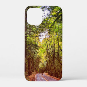 Wet Road Through Green Trees in Humboldt Autumn iPhone 12 Mini Case
