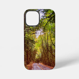 Wet Road Through Green Trees in Humboldt Autumn iPhone 12 Mini Case