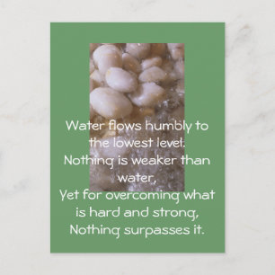 Wet Stones Postcard