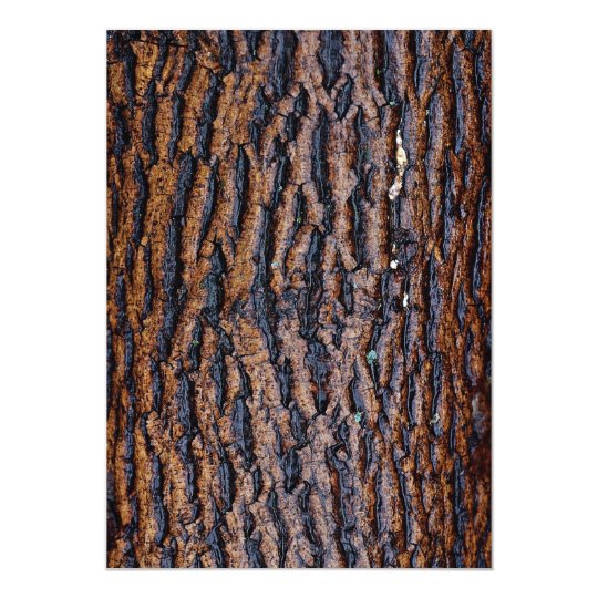 Wet tree bark card