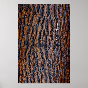 Wet tree bark poster
