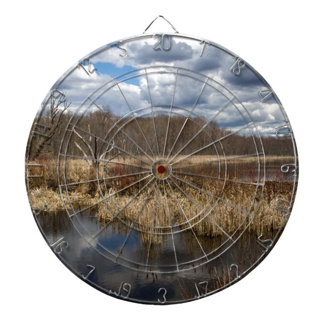 Wetland Cloudscape Dartboard (Front)