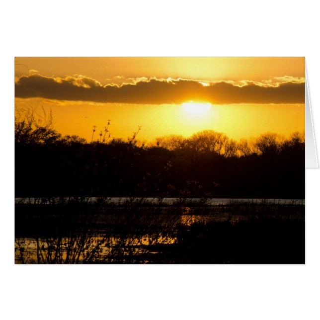 Wetland Gold (Front Horizontal)