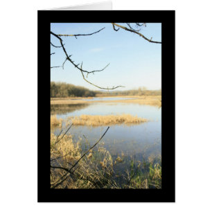 Wetland Wonderland