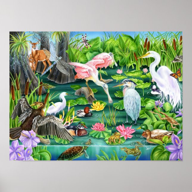 Wetland Wonders Poster (Front)