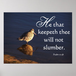 Wetlands Bird God Will Keep You Print
