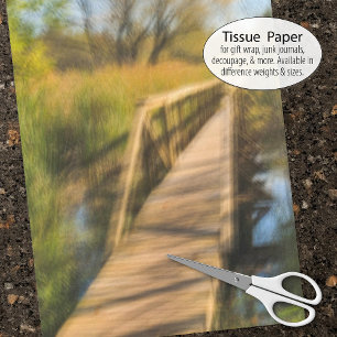 Wetlands Boardwalk Scene Early Fall Tissue Paper