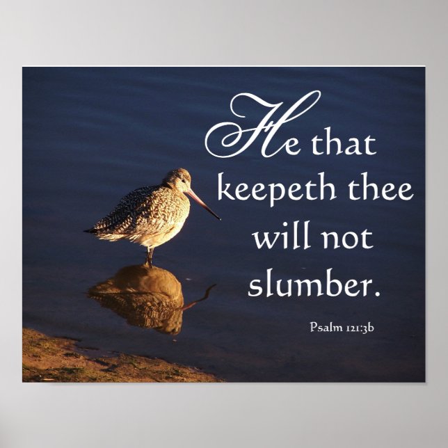 Wetlands Godwit Bird God Will Keep You Print (Front)