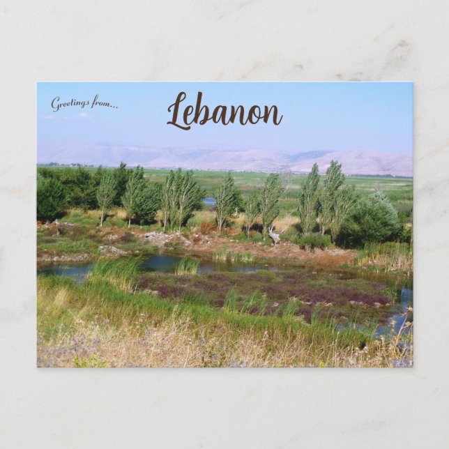 Wetlands in Beqaa Valley Lebanon Postcard (Front)