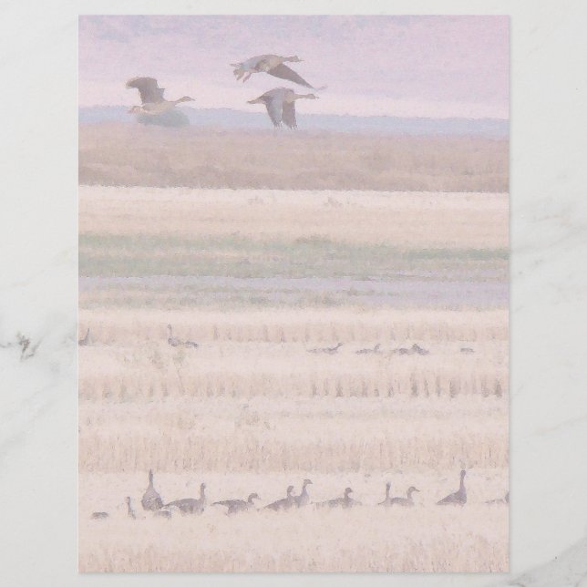 Wetlands Migration Letterhead (Front)