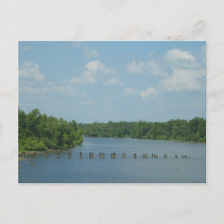 Wetlands Poster Postcard