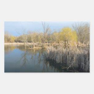 Wetlands Reeds and Trees in West Saint Paul Rectangular Sticker